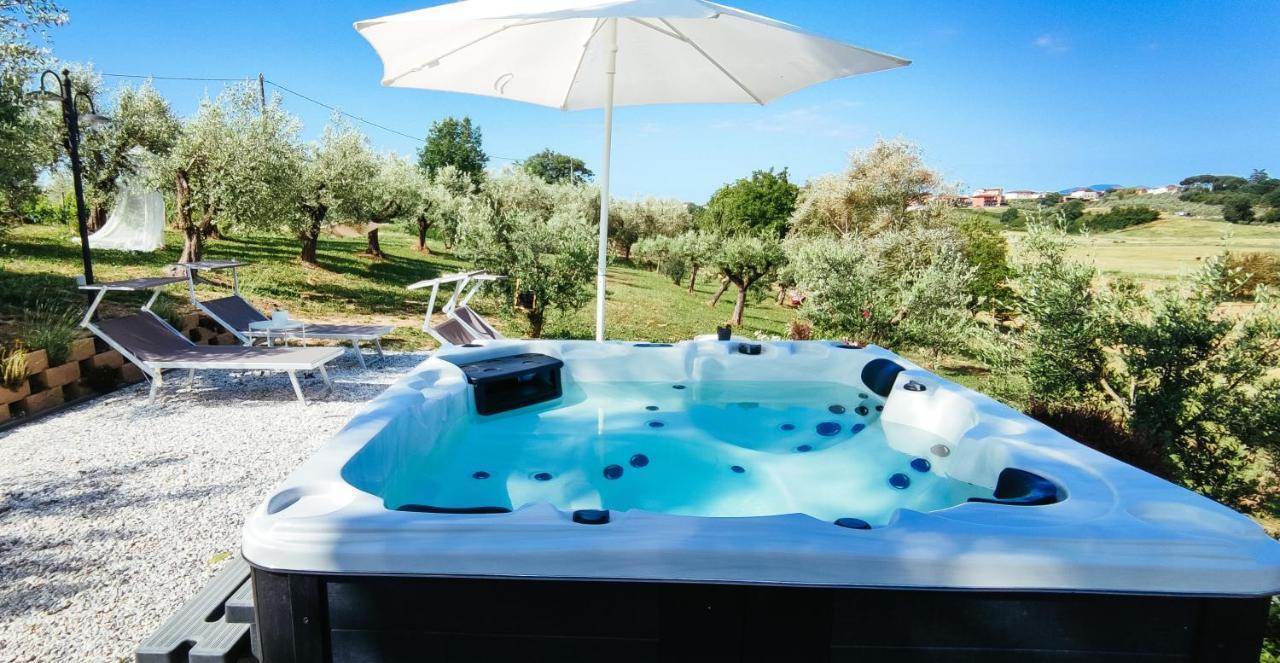 The Olive Grove In Tuscany Toiano Exterior foto