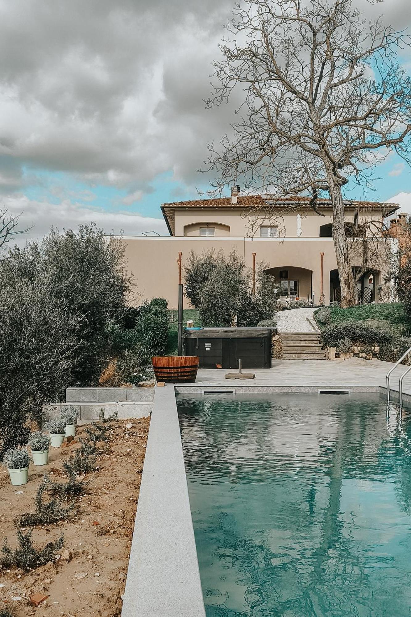 The Olive Grove In Tuscany Toiano Exterior foto